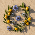 Nigelle & Jojoba - Décor botanique | Héori
